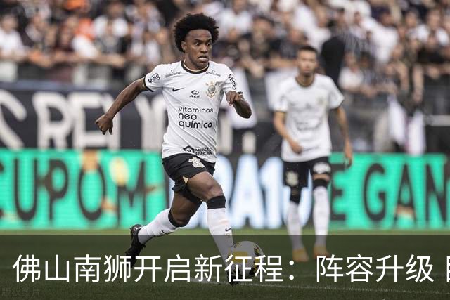 佛山南狮开启新征程：阵容升级 目标中甲前八